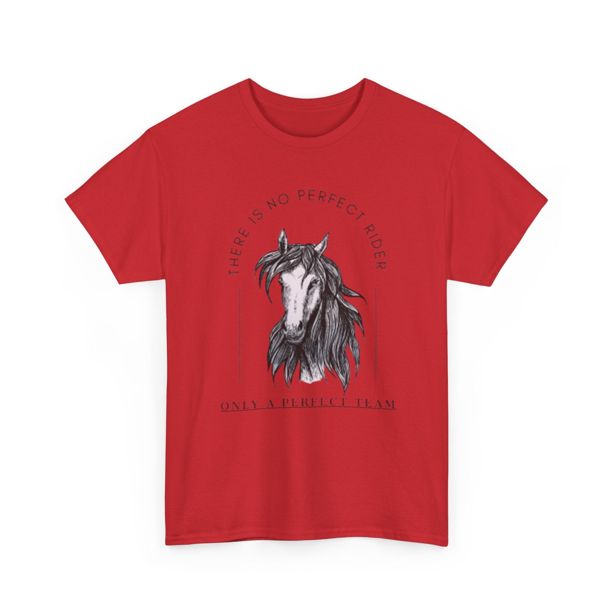 Horse Rider Team