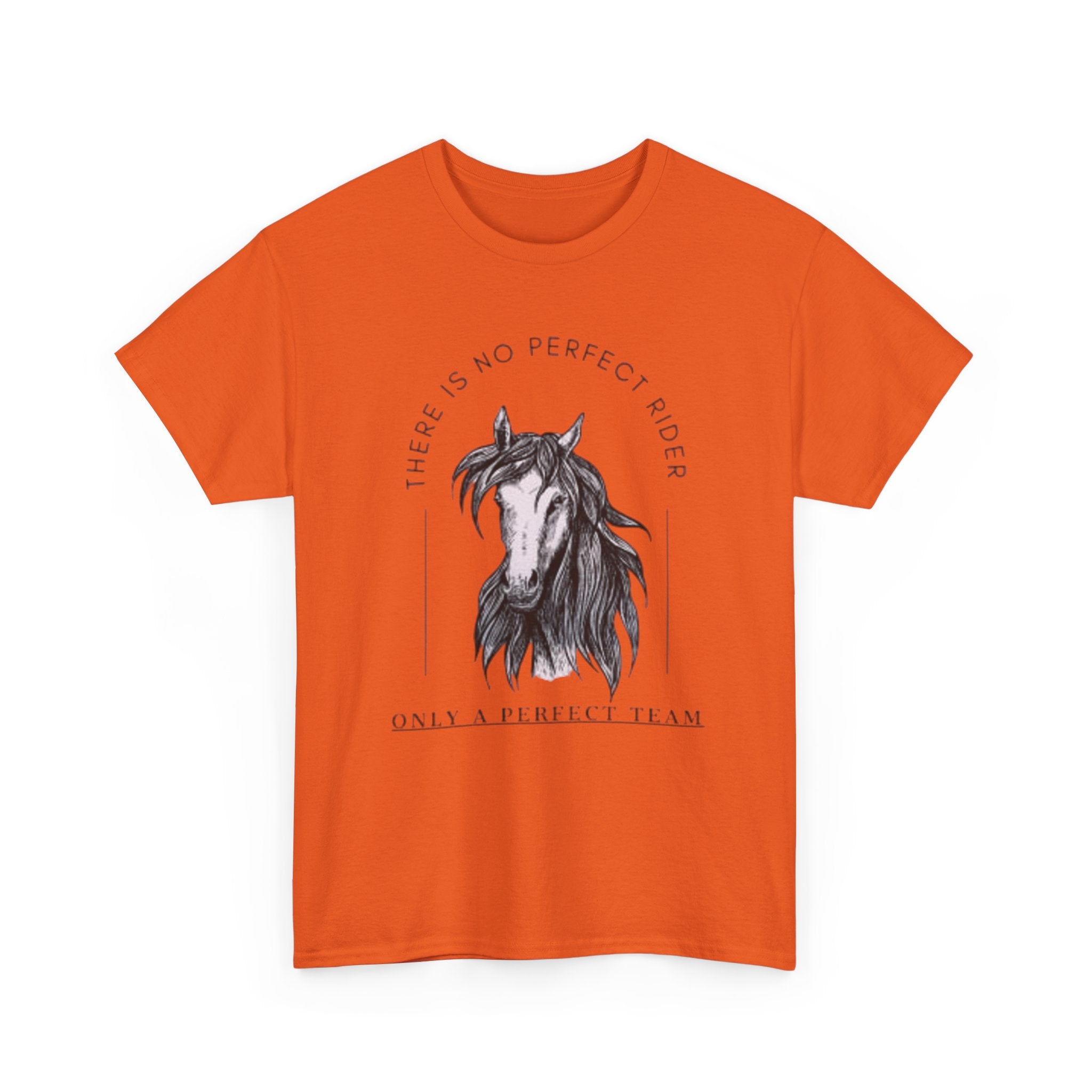 Horse Rider Team